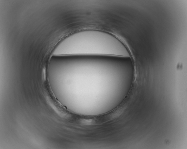 X0000113210061200909100956