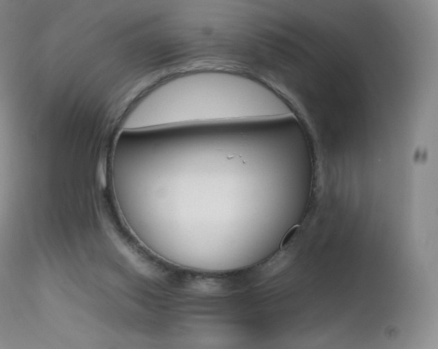X0000113210062200909100956