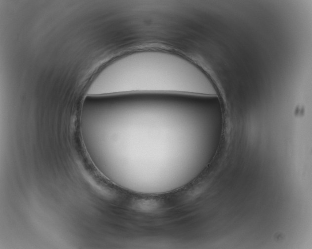 X0000113210063200909100956