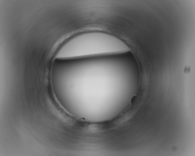 X0000113210064200909100956