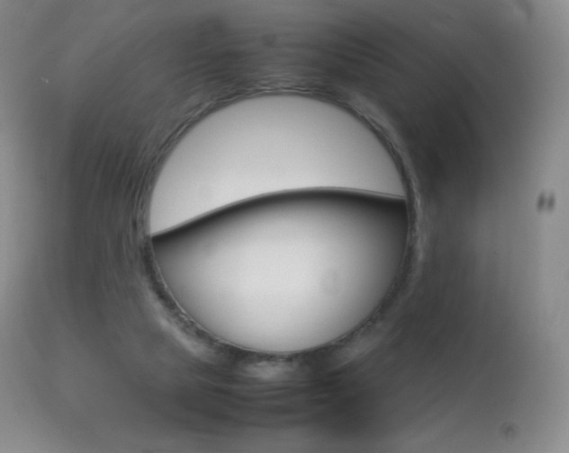 X0000113210065200909100957