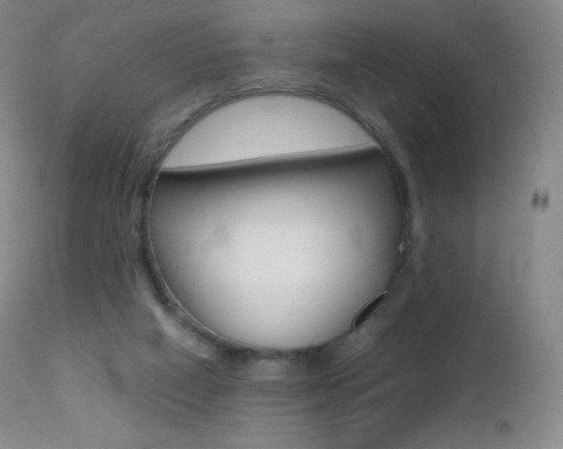 X0000113210066200909100957
