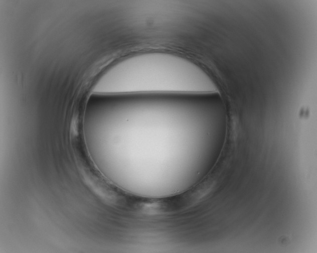 X0000113210068200909100957