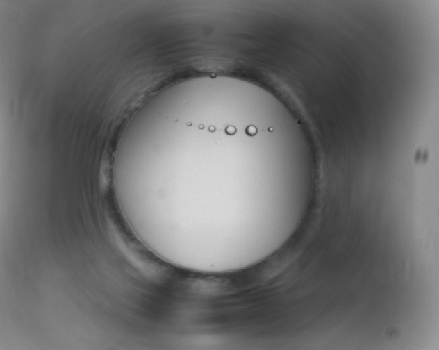 X0000113210069200909100957