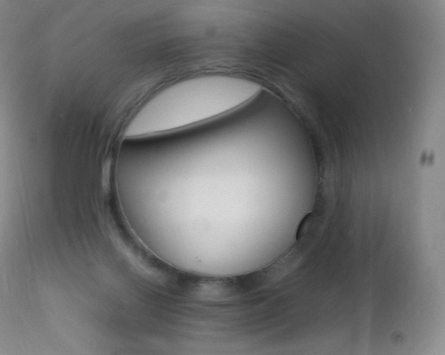 X0000113210070200909100957