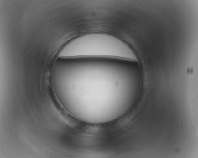 X0000113210071200909100957