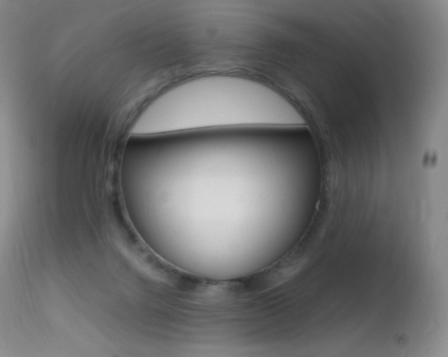 X0000113210072200909100957