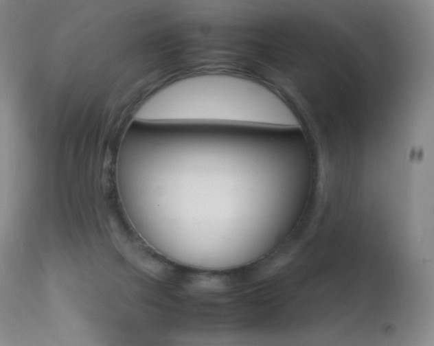 X0000113210073200909100957