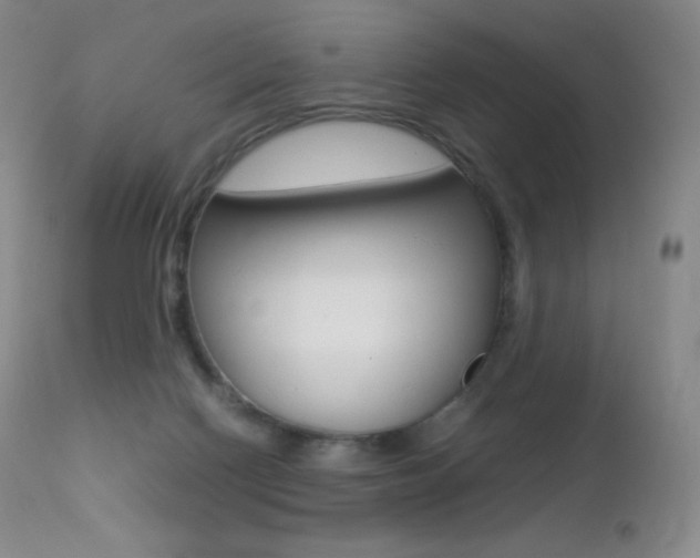 X0000113210074200909100957