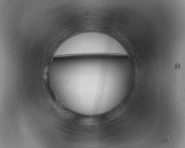 X0000113210075200909100957