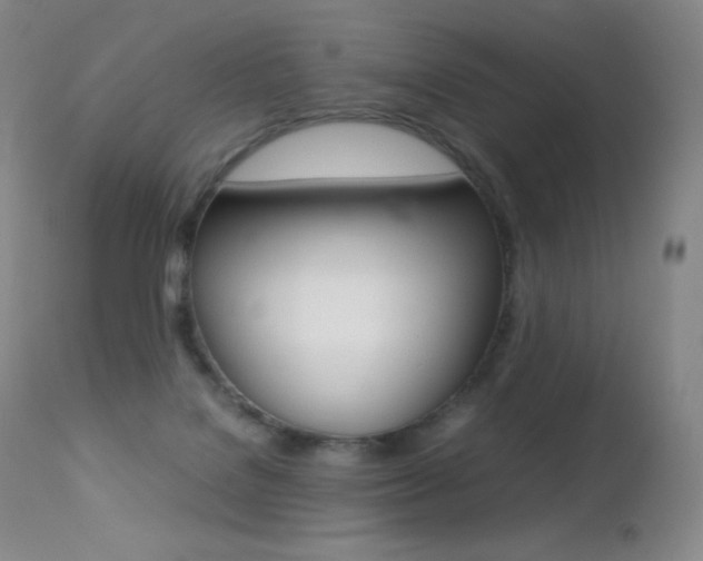 X0000113210076200909100957