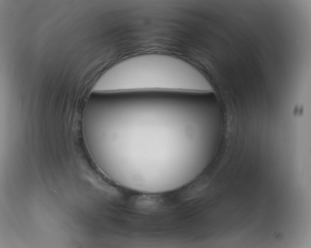 X0000113210077200909100957