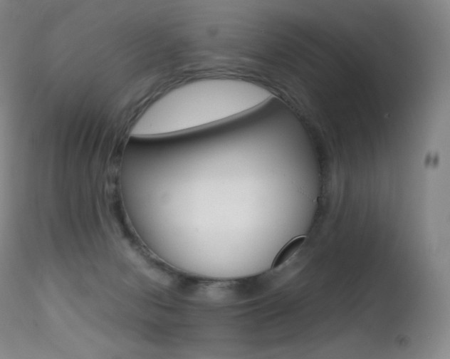 X0000113210078200909100957