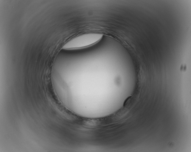 X0000113210079200909100957