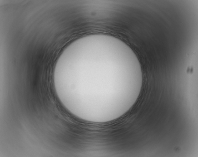 X0000113210080200909100957