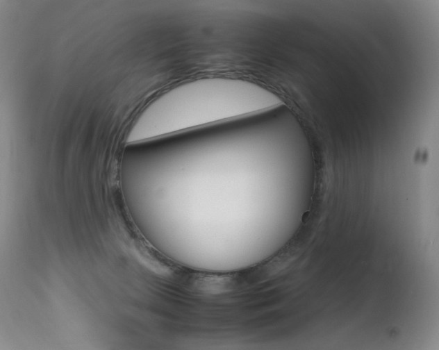 X0000113210081200909100957