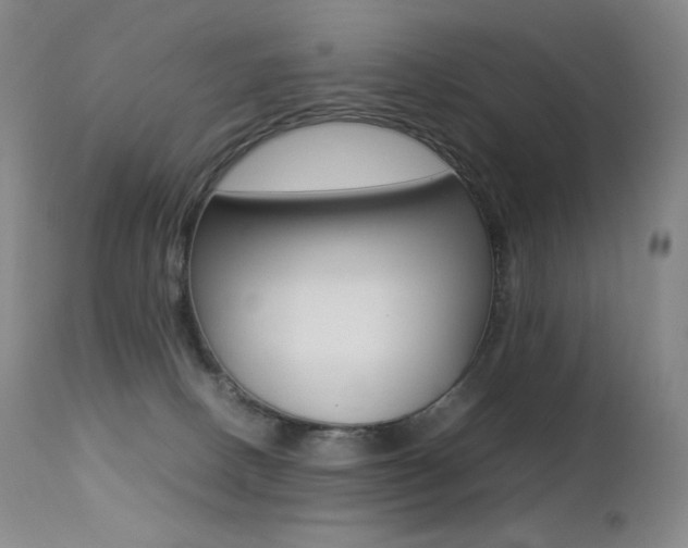 X0000113210082200909100957