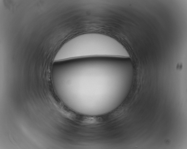 X0000113210083200909100957