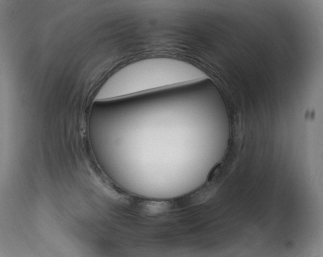 X0000113210085200909100957