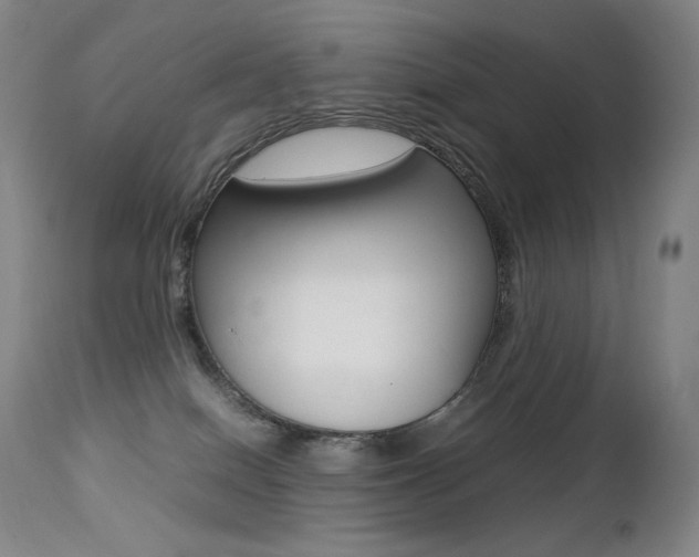 X0000113210086200909100957