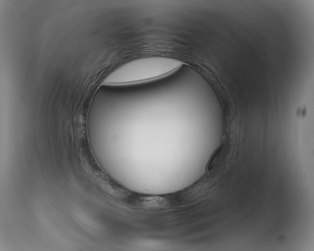 X0000113210087200909100957