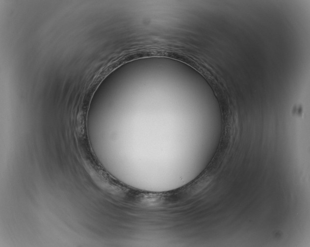 X0000113210088200909100957