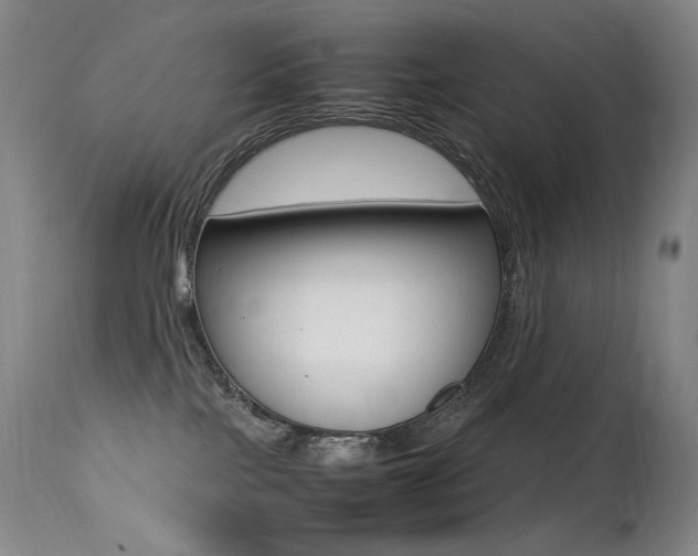 X0000113210089200909100957