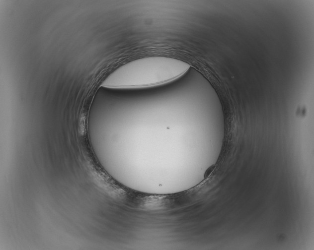 X0000113210090200909100957