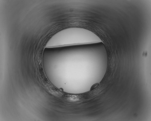 X0000113210091200909100957