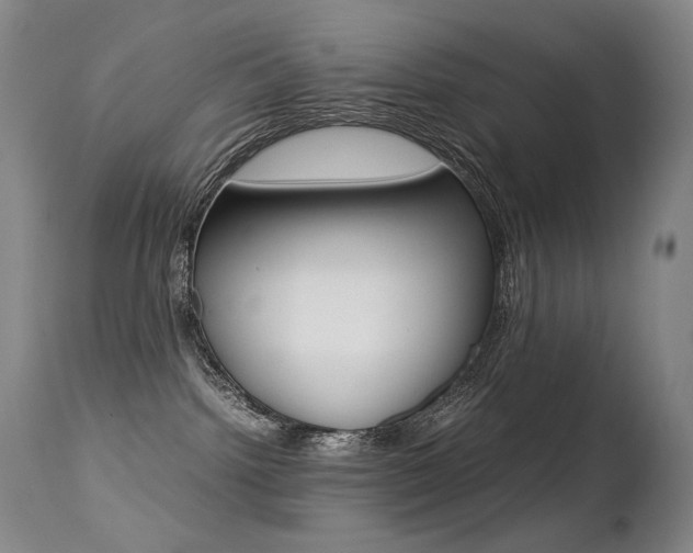 X0000113210092200909100957