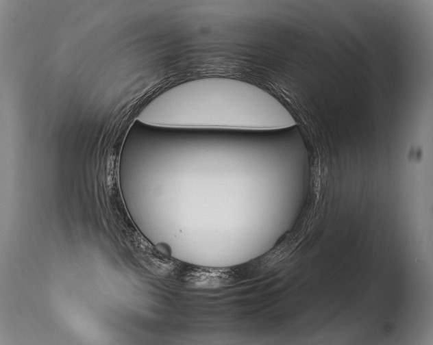 X0000113210093200909100957