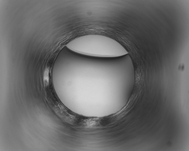 X0000113210094200909100957
