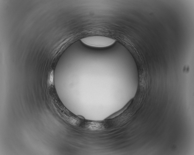 X0000113210095200909100957