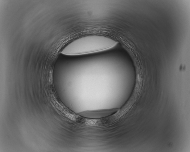 X0000113210096200909100957