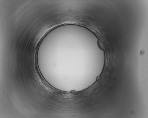 X0000113210098200909100956