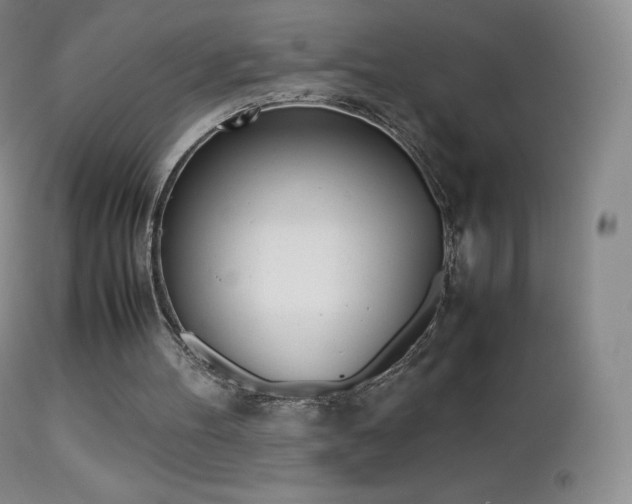 X0000113210100200909100956