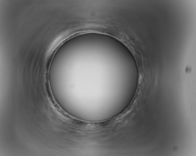 X0000113210101200909100956