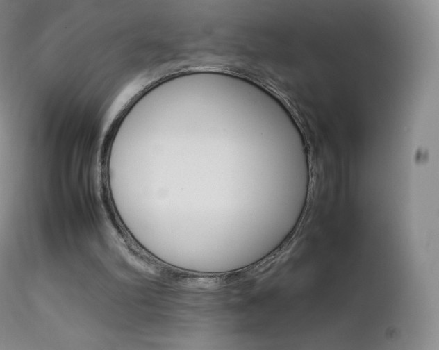 X0000113210102200909100956