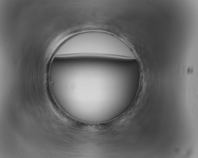 X0000113210103200909100956