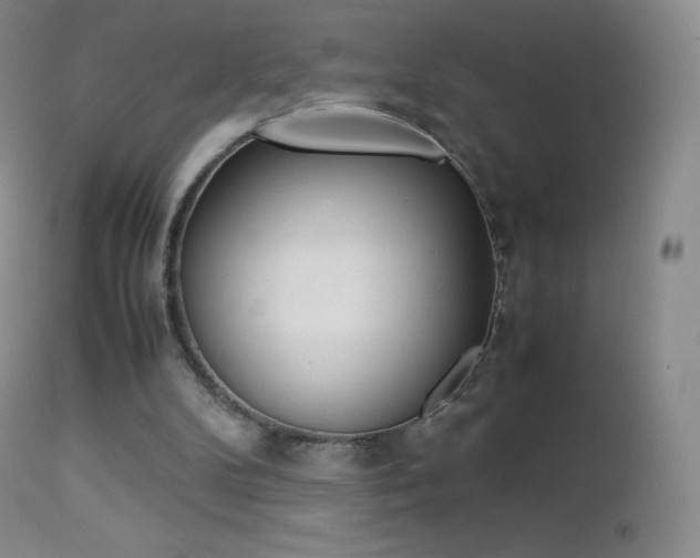 X0000113210104200909100956