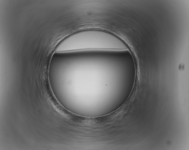 X0000113210105200909100956
