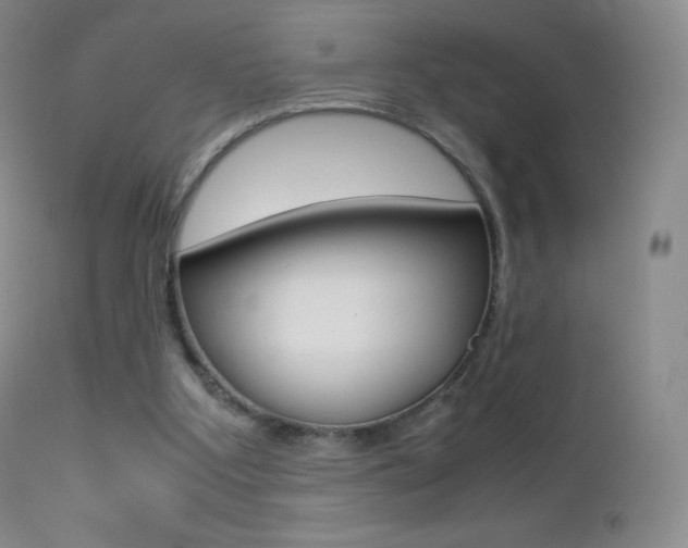 X0000113210107200909100956
