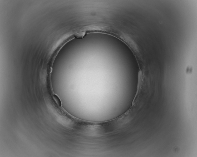 X0000113210108200909100956