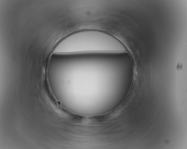 X0000113210109200909100956