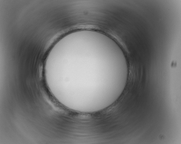 X0000113210110200909100956