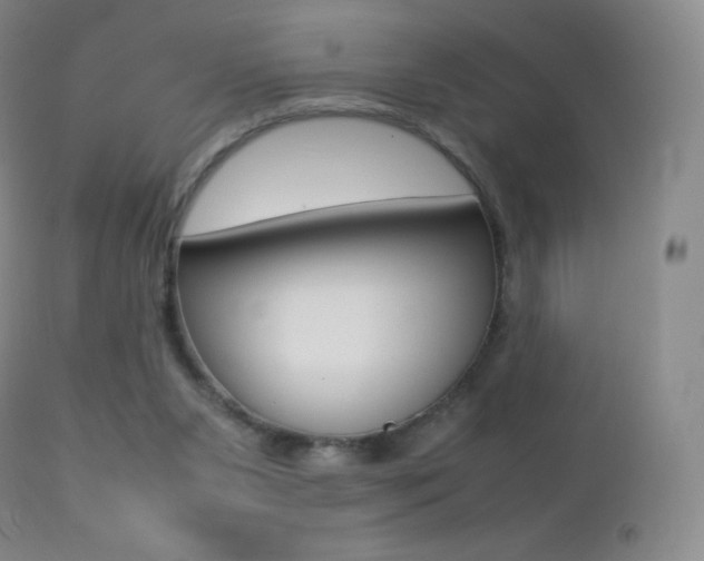 X0000113210111200909100956