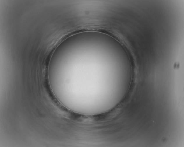 X0000113210113200909100956