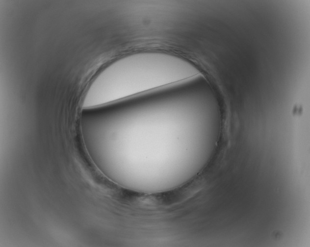 X0000113210115200909100956