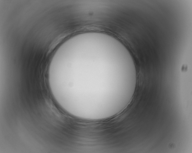 X0000113210116200909100956