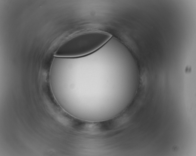 X0000113210117200909100956